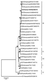 Thumbnail of Neighbor-joining phylogenetic tree based on complete envelope gene sequences of dengue virus (DENV) serotype 3 virus, rooted with DENV-1. Bootstrap support values &gt;80 are shown. Boldface indicates the 2010 isolate from Yemen. Scale bar represents nucleotide substitutions per site. Virus abbreviations are dengue virus type/origin/year/GenBank accession number.