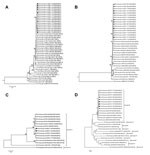 Thumbnail of Maximum-likelihood phylograms indicating genetic relationships of nucleotide sequences of A) viral protein 7 (VP7), B) VP4, C) VP6, and D) nonstructural protein 4 (NSP4) genes of human G9P[4] group A rotavirus (RVA) strains from Mexico, Guatemala, and Honduras, and sequences of human and animal RVA strains from GenBank. Partial VP4 (VP8* region), VP7 and VP6 gene sequences (742, 783, and 1,155 bases, respectively) and complete gene sequences of NSP4 (528 bases) were aligned with cog