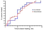 Thumbnail of Survival analysis curve of cumulative healing for patients with Mycobacterium ulcerans infection who were co-infected with Mansonella perstans nematodes compared with those who had M. ulcerans monoinfection, Ghana, August 2010–December 2012. No difference in cumulative healing was found between the 2 groups (p = 0.93 by log-rank test).