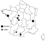 Thumbnail of Geographic locations of human and cattle cases of Echinococcus ortleppi infections, France, 2011–2012.