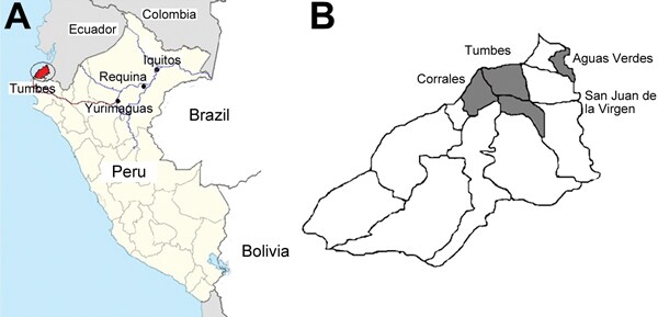 Peru, showing the Department of Tumbes, the city of Iquitos, and the Requena District located in the Loreto region of the Peruvian Amazon (A) and the 13 districts in the Department of Tumbes (B). Gray shading indicates the 4 districts (Tumbes, Corrales, Aguas Verdes, and San Juan de la Virgen) where the 210 cases were reported during the 2010–2012 outbreak of Plasmodium falciparum malaria; blue lines indicate travel routes by river; red line indicates travel route by road. 