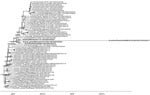 Thumbnail of Maximum clade credibility phylogeny of concatenated complete genome sequences of avian influenza A(H5N2) virus clade 2.3.4.4 in wild birds, Alaska, USA, 2016. Horizontal bars indicate 95% Bayesian credible intervals for estimates of common ancestry. Bold indicates a genetic cluster that includes A/mallard/Alaska/AH00088535/2016/08/12(H5N2) virus and related viruses. Scale bar indicates years.