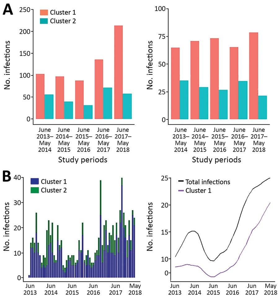 Frequency and trend line patterns of Plasmodium knowlesi subpopulations in Kapit division, Sarawak state, Malaysian Borneo, June 2013–May 2018. A) Distribution of 637 cluster 1 and 258 cluster 2 infections during each year of the 5-year period. B) The frequency pattern of infections and estimation of trend for the combination of cluster 1 and cluster 2 infections, and cluster 1 infection alone. The trend line of cluster 2 infections is not shown because of a low number of cases.