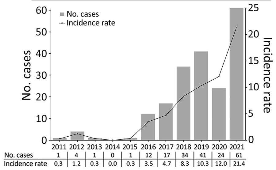 Epidemiologic curve and incidence rate (cases/100,000 outpatient visit-years) of cat-transmitted sporotrichosis patients treated at Hospital de Clínicas, Federal University of Paraná, Curitiba, Brazil, 2011–2021. 