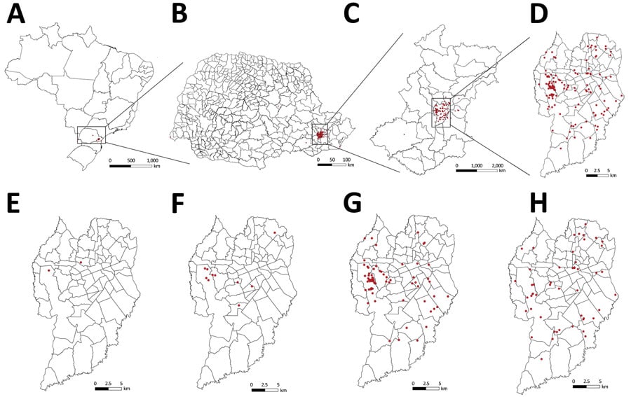Locations of human cat-transmitted sporotrichosis cases (red dots) treated at Hospital de Clínicas, Federal University of Paraná, Curitiba, Brazil, during 2011–May 2022, and evolution of spatial distribution of cases in the city of Curitiba. A–D) Locations of all human cases in Brazil (A), Paraná state (B), Metropolitan Region of Curitiba (C), and Curitiba (D). E–H) Distribution of new human cases in Curitiba during 2011–2013 (E), 2014–2016 (F), 2017–2019 (G), and 2020–May 2022 (H).
