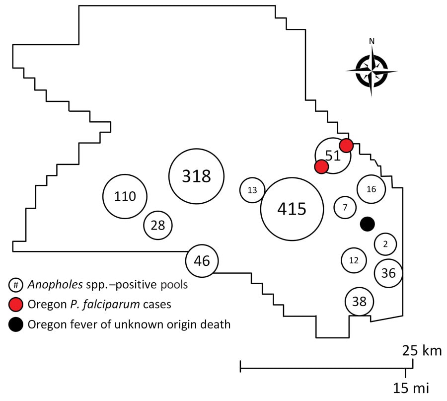 Number of Anopheles spp.‒positive pools, Plasmodium falciparum‒positive cases, and fever of unknown origin deaths, Washington County, Oregon, USA, July–September 2022.