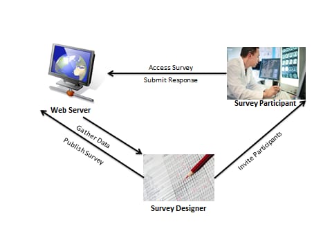 Web Survey System