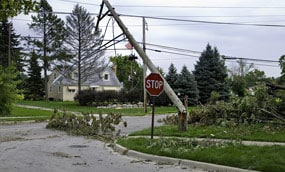 Una calle de barrio con líneas eléctricas caídas y árboles caídos