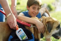 Photo: Child, pet and mosquitoe repellent
