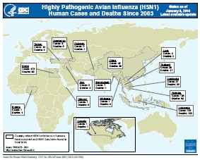 This map shows where highly pathogenic avian influenza H5N1 cases and deaths have occurred around the world since 2003. 