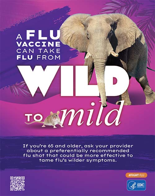 thumbnail for Elephant Wild to Mild poster