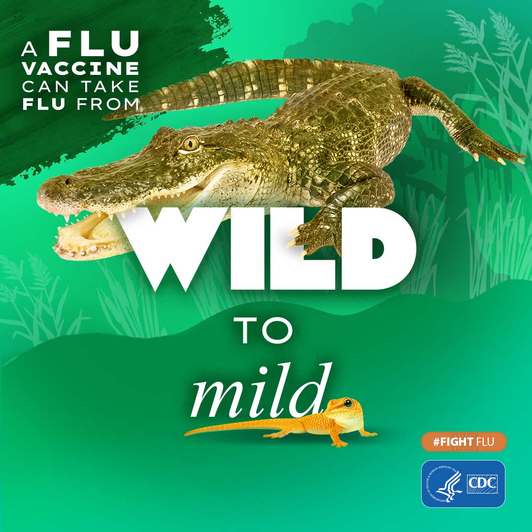 Crocodile compared to a gecko with text: A flu vaccine can take flu from wild to mild #fightflu cdc logo