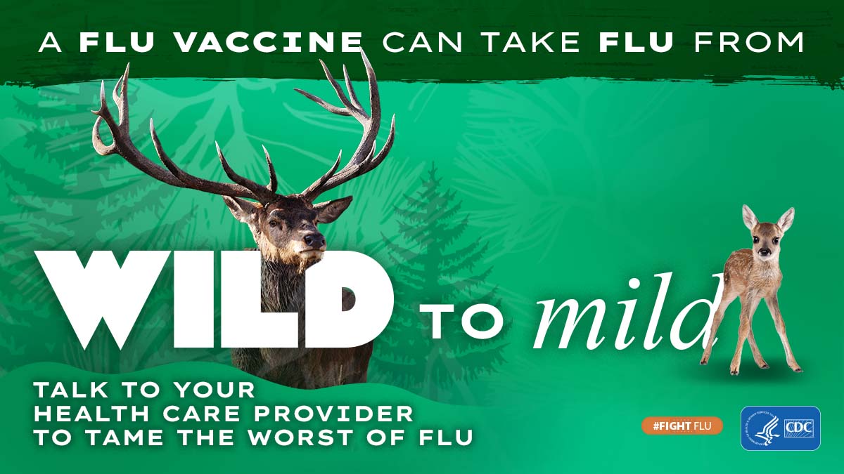 Adult elk compared to fawn with text: A flu vaccine can take flu from Wild to Mild Talk with yoiur health care provider to tame the worst of flu #fightflu cdc logo