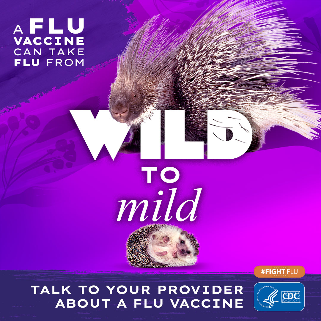Porcupine compared with a hedgehog with text: A flu vaccine can take flu from wild to mild Talk to your provider about a flu vaccine #fightflu cdc logo