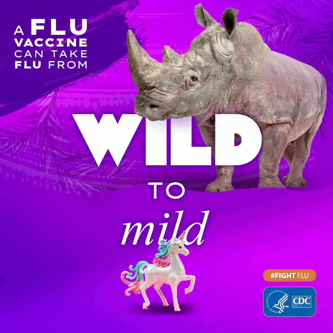 Rhino compared to plastic unicorn with text: A flu vaccine can take flu from Wild to Mild #fightflu cdc logo