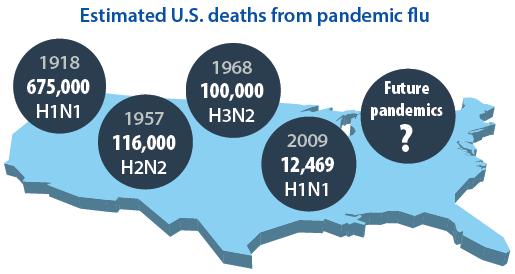 An influenza pandemic can emerge anywhere and spread globally