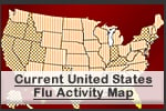 Current United States Flu Activity Map