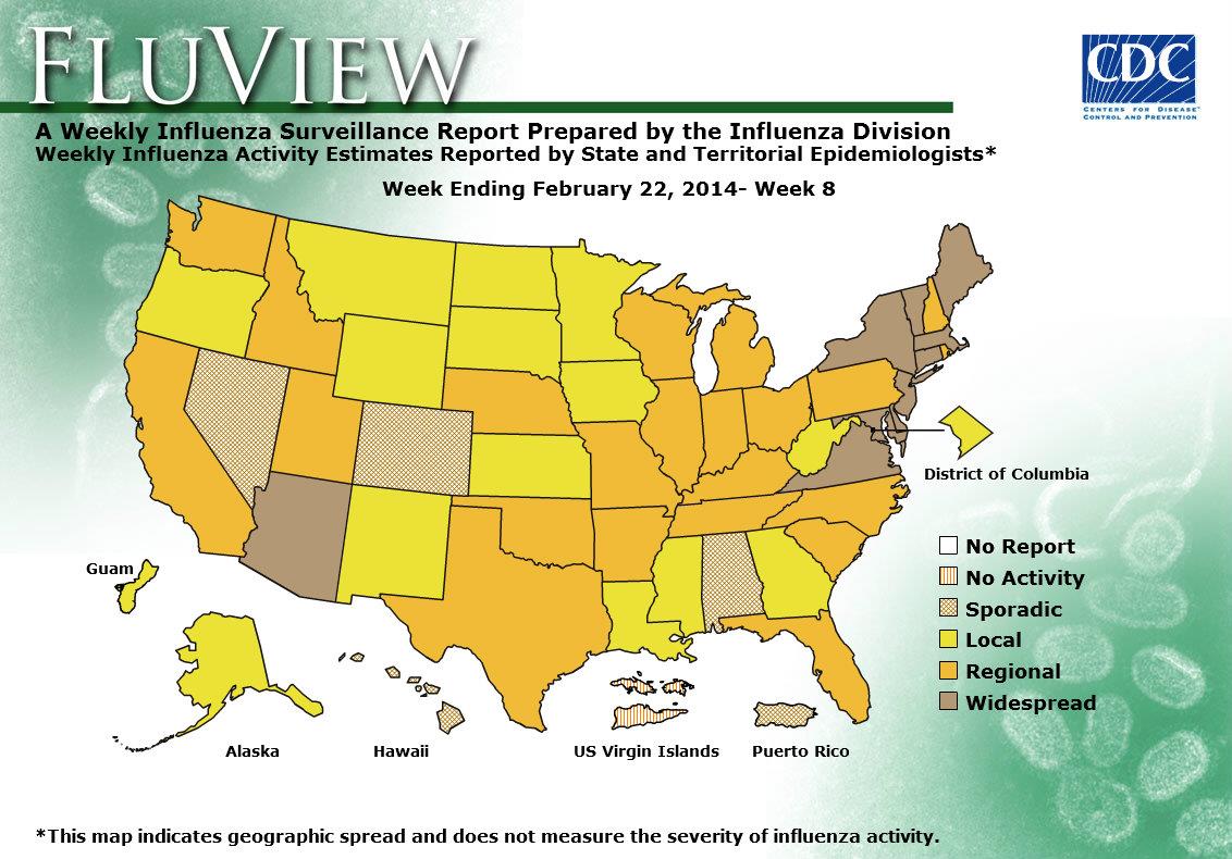 WEEK 8, 2013 FLU MAP NOT PRESENT ON SERVER