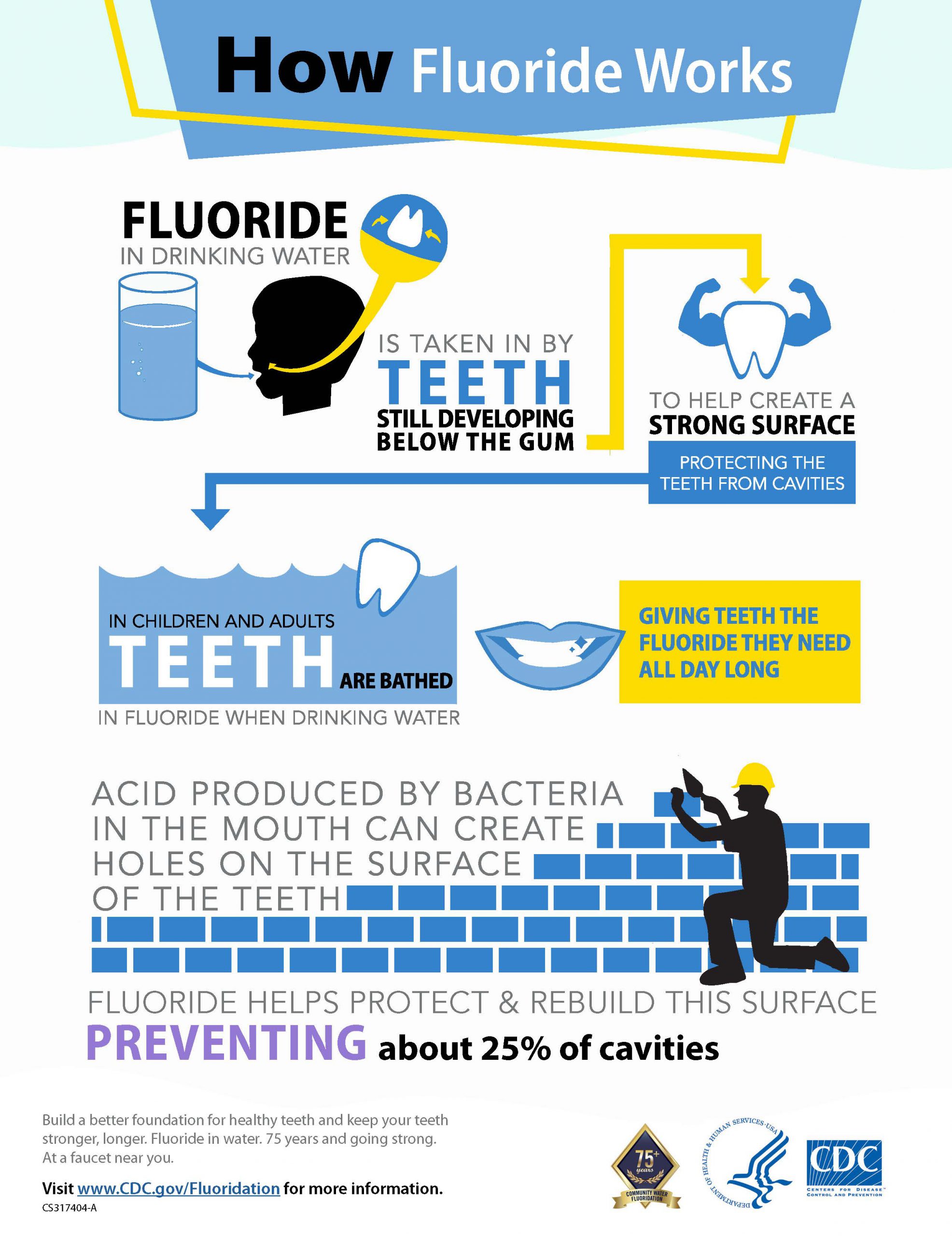 Infographic on how fluoride works.