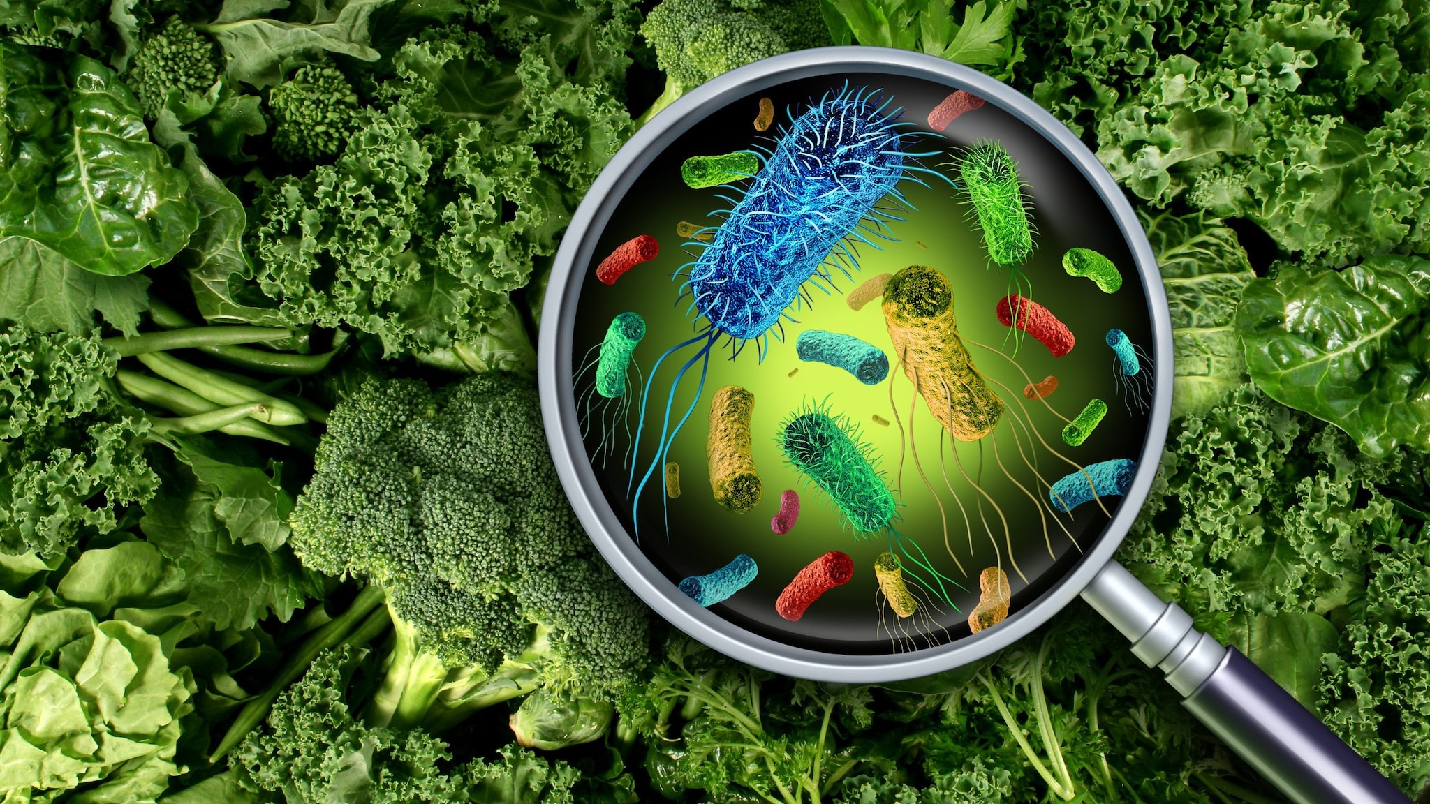 Image shows a magnifying glass looking at germs on lettuce.
