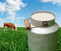 Image of glass of milk with a cow in the background.