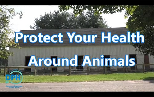 Image representing the Protect Your Health Around Animals