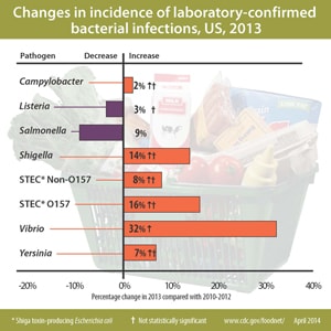 Figure: Changes in incidence of laboratory-confirmed bacterial infections, United States, 2013 compared with 2006-2008 (data are preliminary). Yersinia = 7% decrease, Vibrio = 32% increase, STEC Non-O157  = 8% increase, STEC O157 = 16% increase, Shigella = 14% decrease, Salmonella = 9% decrease, Listeria = 3% decrease, Campylobacter = 2% increase