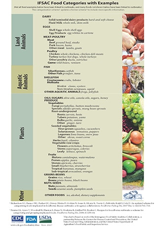 Food Categorizations with Examples
