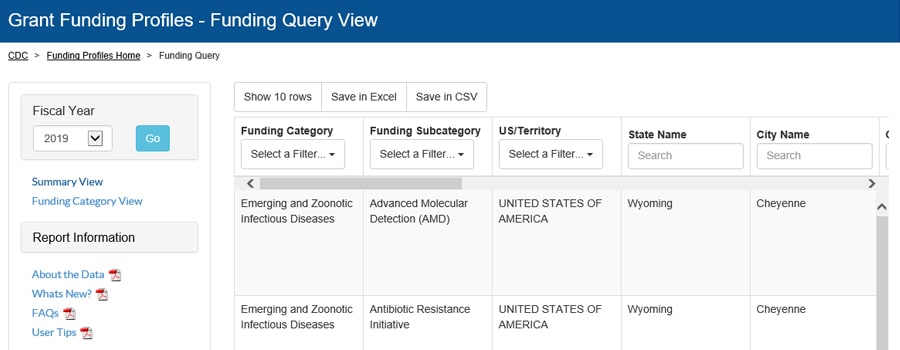 Fiscal Year 2019 Funding Profiles - Query view