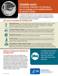 cover sheet image for spanish c. auris fact sheet