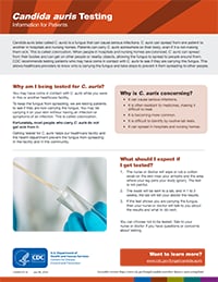 Thumbnail of c. auris testing patient information fact sheet