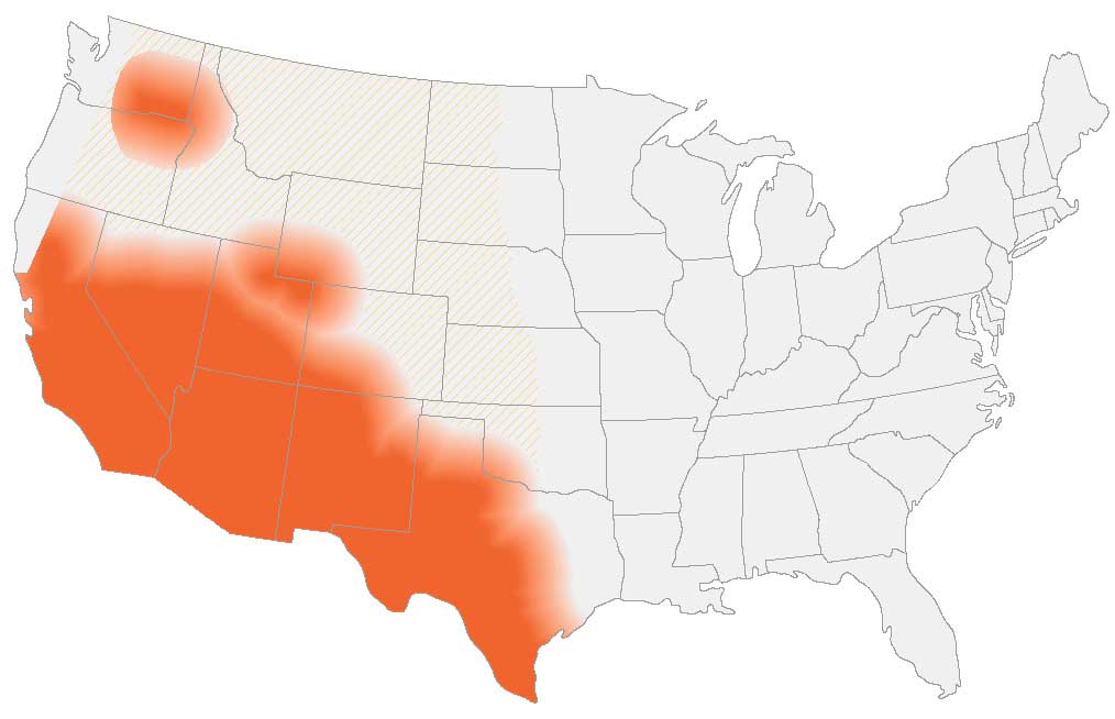 Imagen de un mapa de la estimación actual de los CDC de dónde viven los hongos que causan la coccidioidomicosis (fiebre del valle) en el medio ambiente en los Estados Unidos.
