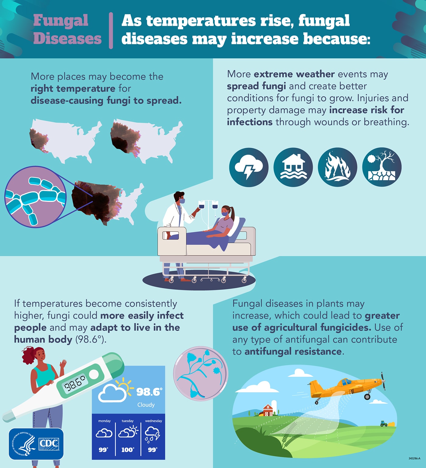 Climate Change And Fungal Disease infographic
