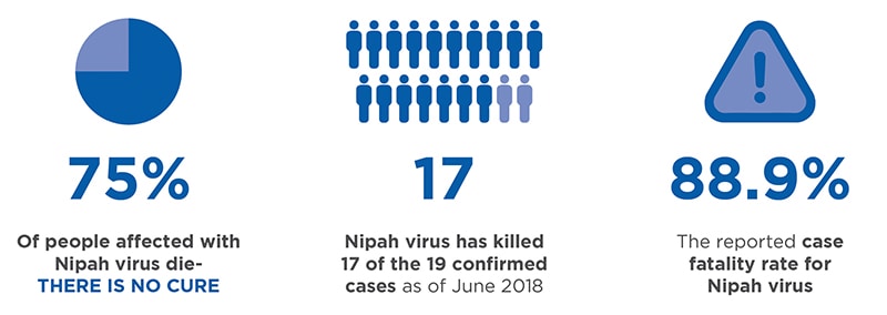 Illustration of pie chart showing 75% highlighted: 75% of people with Nipah virus die - THERE IS NO CURE; Illustration of 19 person outlines with 17 highlighted; 17 - Nipah virus has killed 17 of the 19 confirmed cases as of June 2018; Warning triangle illustration: 88.9% the reported case fatality rate for Nipah virus