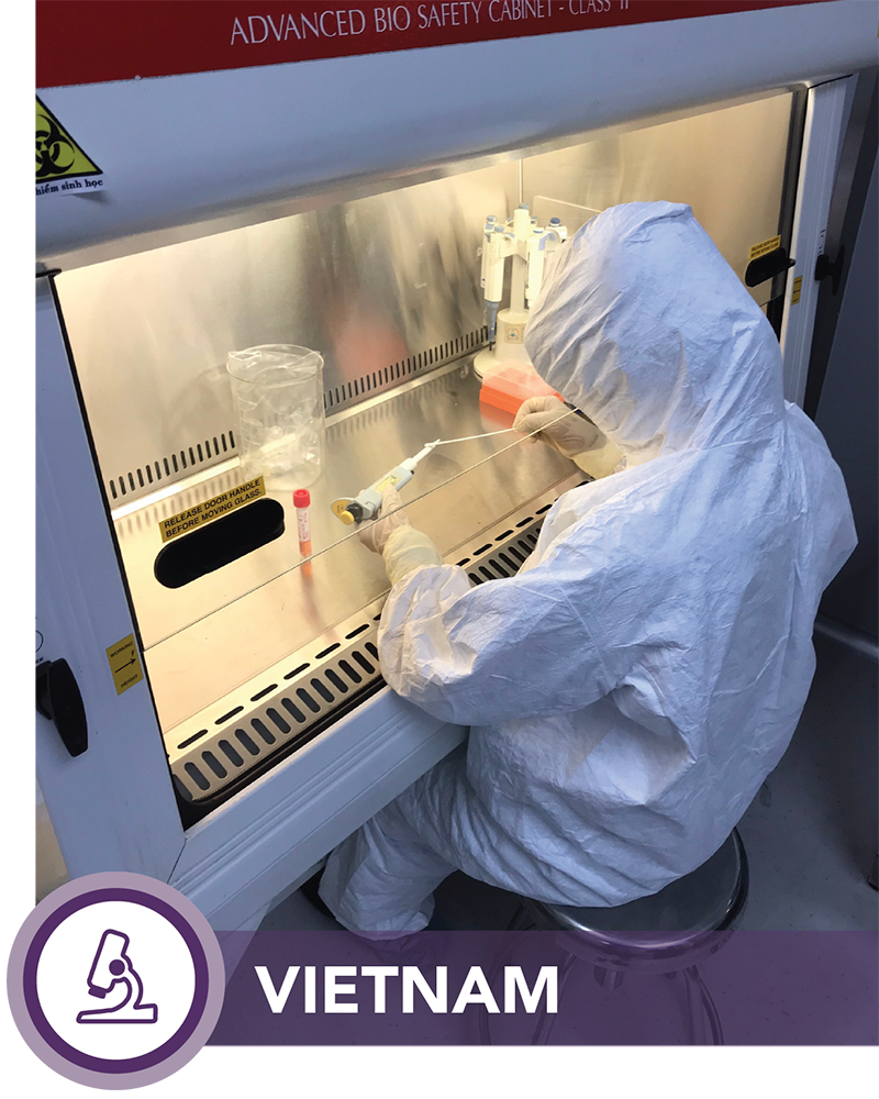 Disinfecting a pipette surface within a biosafety cabinet after processing and testing a sample at the Pasteur Institute of Nha Trang (PINT) laboratory in Vietnam. Photo: Mr. Truong Tien Dat, CDC Vietnam