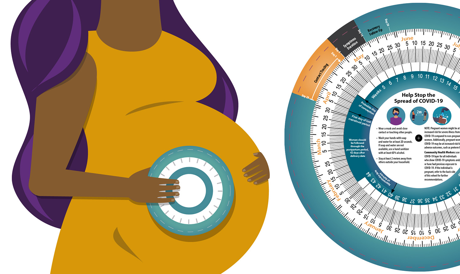 A pregnant woman and the adapted pregnancy wheel, which includes COVID-19 prevention messages to help Community Health Workers (CHWs).