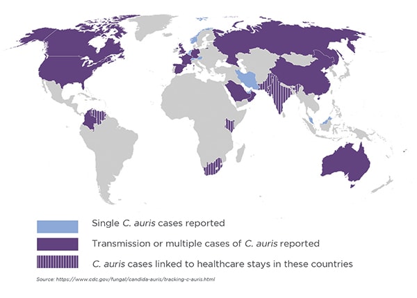 World map showing single <em>C. auris</em> cases reported, transmission or multiple cases of <em>C. auris</em> reported