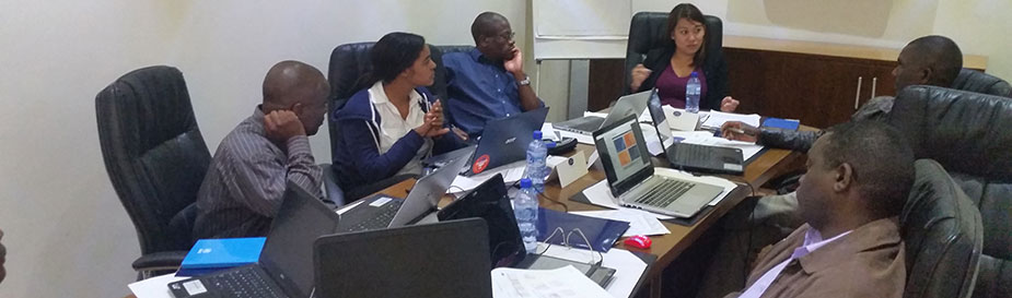 CDC team members and WHO-AFRO representatives conduct an IDSR e-Learning pre-launch workshop in Blantyre, Malawi.