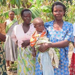 Women stand in banana plantation in Uganda.