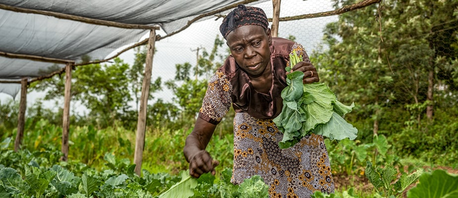 Leonida Shitambasi shows off her small holder farm, Homa Bay County, Kisumu, Kenya. Photo: Katie G. Nelson, RTI International