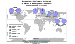 This picture depicts a map of the world that shows the co-circulation of 2009 H1N1 flu and seasonal influenza viruses. The United States, Canada, Europe, Japan and China are depicted. There is a pie chart for each that shows the percentage of laboratory confirmed influenza cases that have tested positive for either 2009 H1N1 flu or other influenza subtypes. The majority of laboratory confirmed influenza cases reported in the United States, Canada, Europe, Japan and China have been 2009 H1N1 flu.
