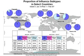 This picture depicts a map of the world that shows the co-circulation of 2009 H1N1 flu and seasonal influenza viruses. The United States, Canada, Europe, Japan and China are depicted. There is a pie chart for each that shows the percentage proportion of laboratory confirmed influenza cases that have tested positive for either 2009 H1N1 flu or other influenza subtypes. The majority of laboratory confirmed influenza cases reported in the United States, Canada, Europe, Japan and China have been 2009 H1N1 flu.
