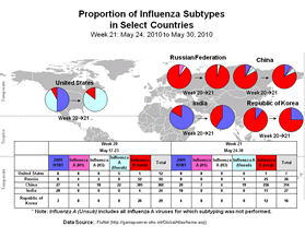 This picture depicts a map of the world that shows the co-circulation of 2009 H1N1 flu and seasonal influenza viruses. The United States, Russian Federation, China, Republic of Korea, and India are depicted. There is a pie chart for each that shows the proportion of laboratory-confirmed influenza cases that have tested positive for either 2009 H1N1 flu or other influenza subtypes. The majority of laboratory-confirmed influenza cases reported in India in weeks 20 and 21 were 2009 H1N1 flu.

