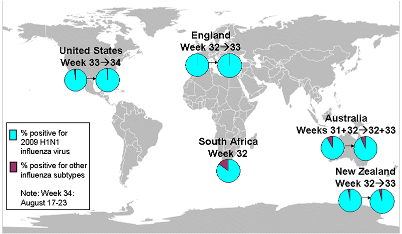 This is a map of the world that shows the co-circulation of 2009 H1N1 flu and seasonal influenza viruses. Seven countries are featured, including Canada, Brazil, Chile, England, South Africa, Australia (New South Wales) and New Zealand. For each of these countries, there is a pie chart that shows the percentage of laboratory confirmed influenza cases that have tested positive for either 2009 H1N1 flu or other influenza subtypes. Other influenza subtypes are being reported more commonly in the countries within the Southern Hemisphere because the flu season has already started there. South Africa and New South Wales, Australia have an asterisk next to them because the seasonal influenza strains that are circulating in these countries are mostly H3 subtype influenza viruses.