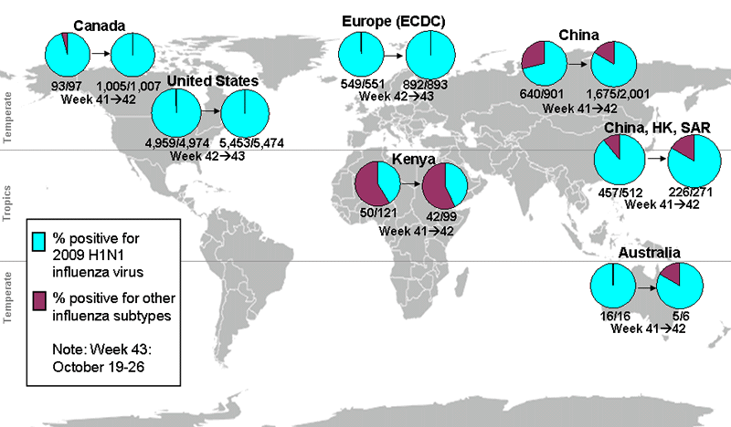  International Co-circulation of 2009 H1N1 and Seasonal Influenza