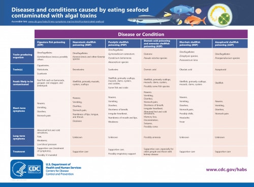 Table of diseases and conditions caused by eating seafood contaminated with algal toxins