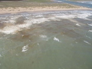 dark brown beach water with signs of algal blooms