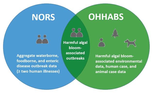 OHHABS and NORS Compared