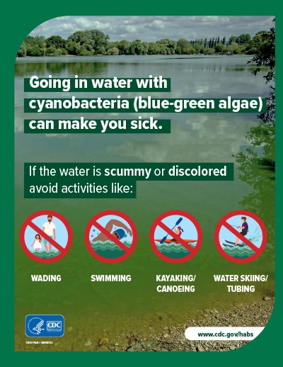 Going in water with cyanobacteria (blue-green algae) can make you sick.