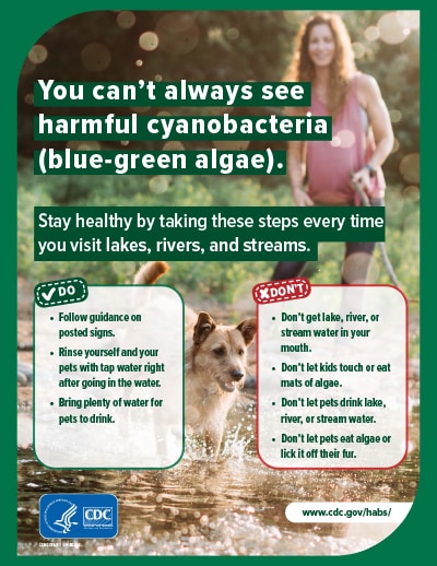 You can’t always see harmful cyanobacteria (blue-green algae).